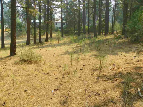 587 Ridgewood Dr, Portola, CA 96122