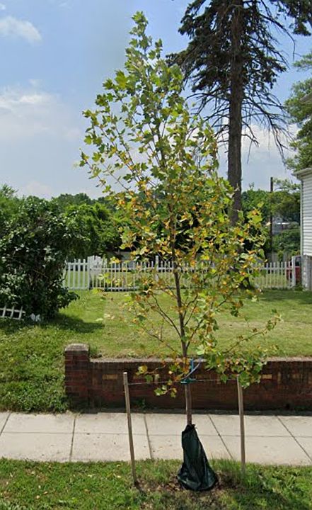 2nd image of 4605 Hunt Pl NE