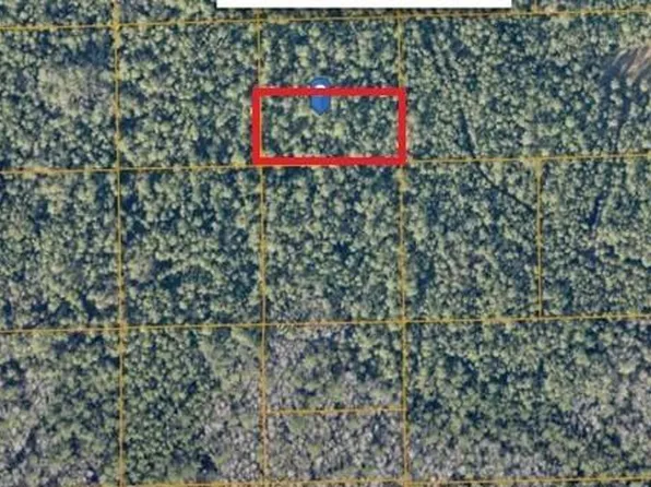 UNIMPROVED, DE LEON SPRINGS, FL 32130