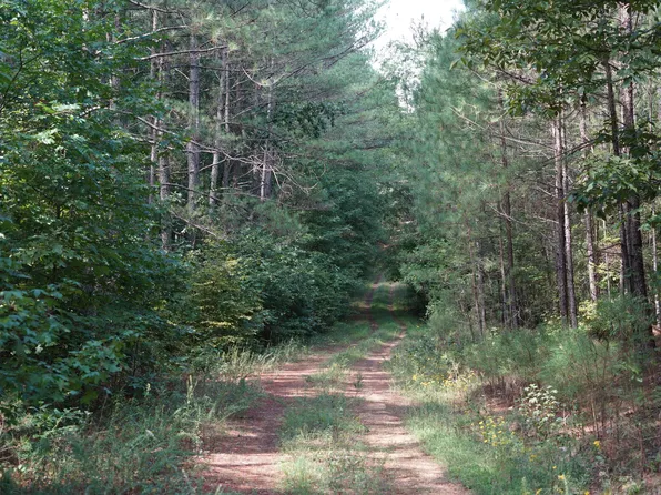 0 Lick Ck Rd, Big Sandy, TN 38221