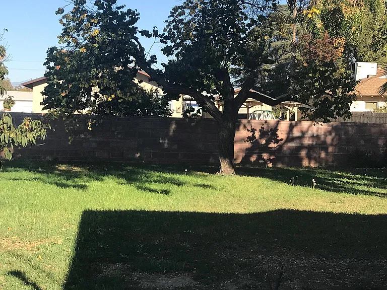 Back yard