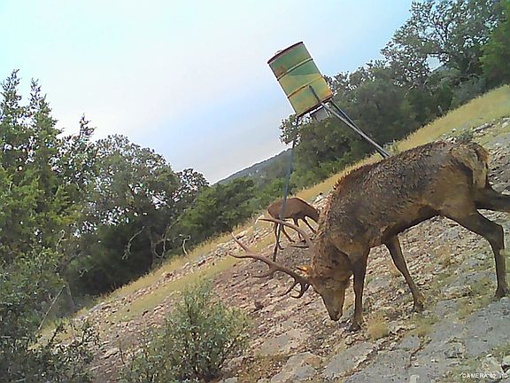 3rd image of 1 AND 2 Texana Oaks Ranch Hway 377