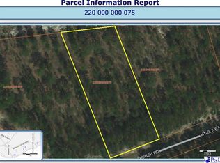 2 Mount Olivet Church Rd, Patrick, SC 29584