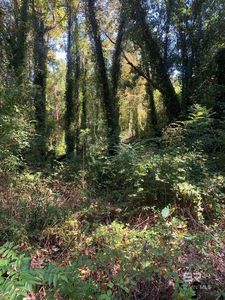 22761 Main St #18, Fairhope, AL, 36532