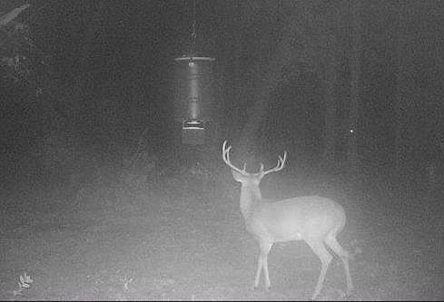 1st image of 999 County Road 292