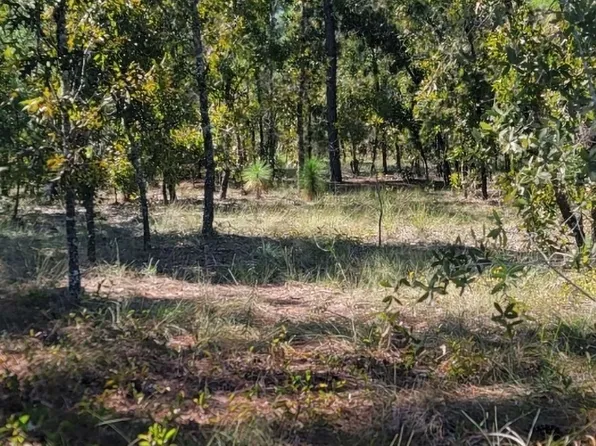 6056 S Rocket Point, Homosassa, FL 34446