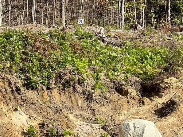 20 Hawthorne Road, Ossipee, NH 03864