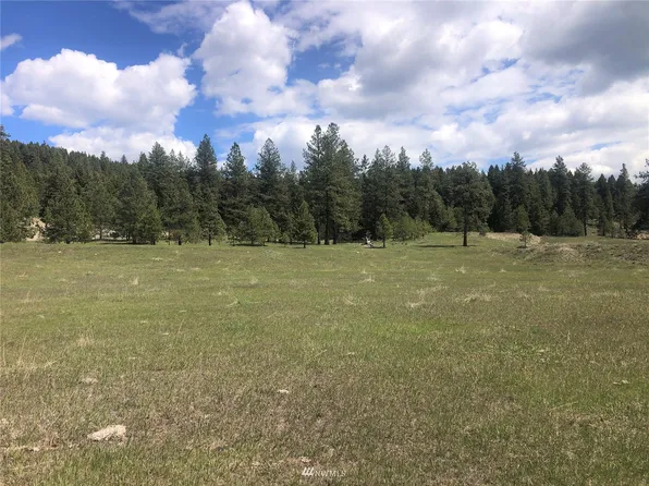 0 Oroville Toroda Creek Road, Oroville, WA 98844
