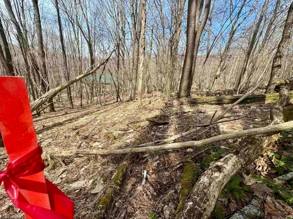 LOT 9 Fern Ct, Terra Alta, WV 26764