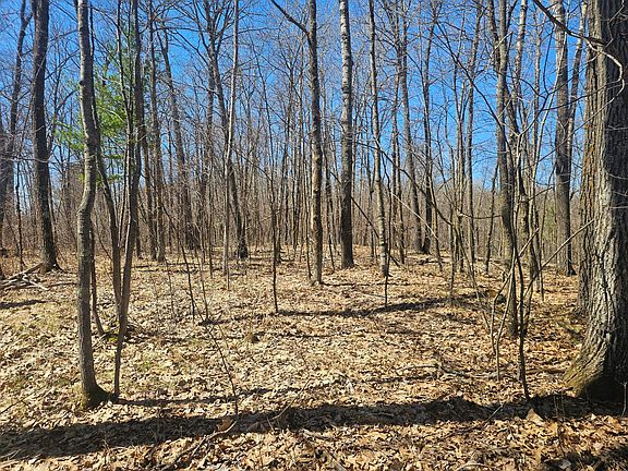 5th image of TRACT Swanson Rd #A