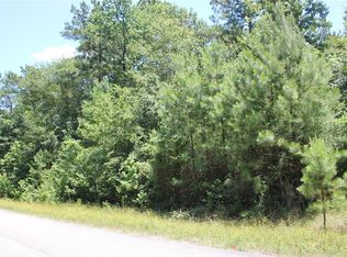 19350 Cabango Dr, Porter, TX 77365