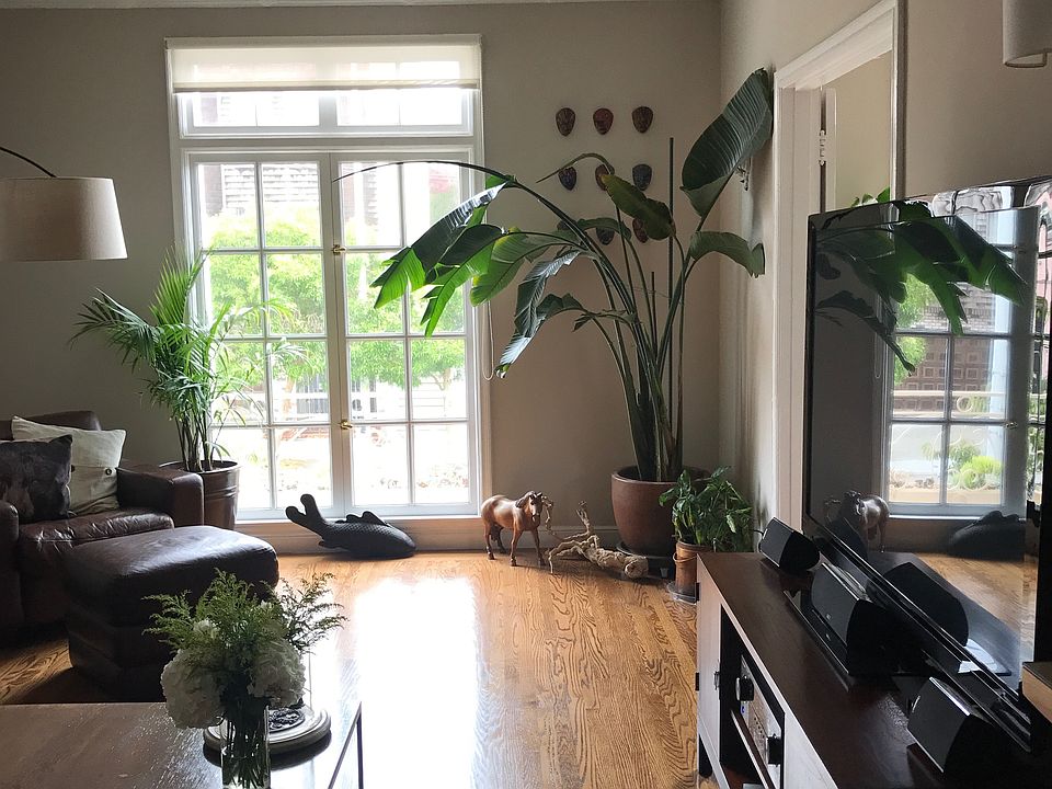 Living Room - Entertainment Area
