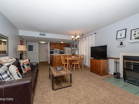 4th image of 1380 Ski View Dr #1106
