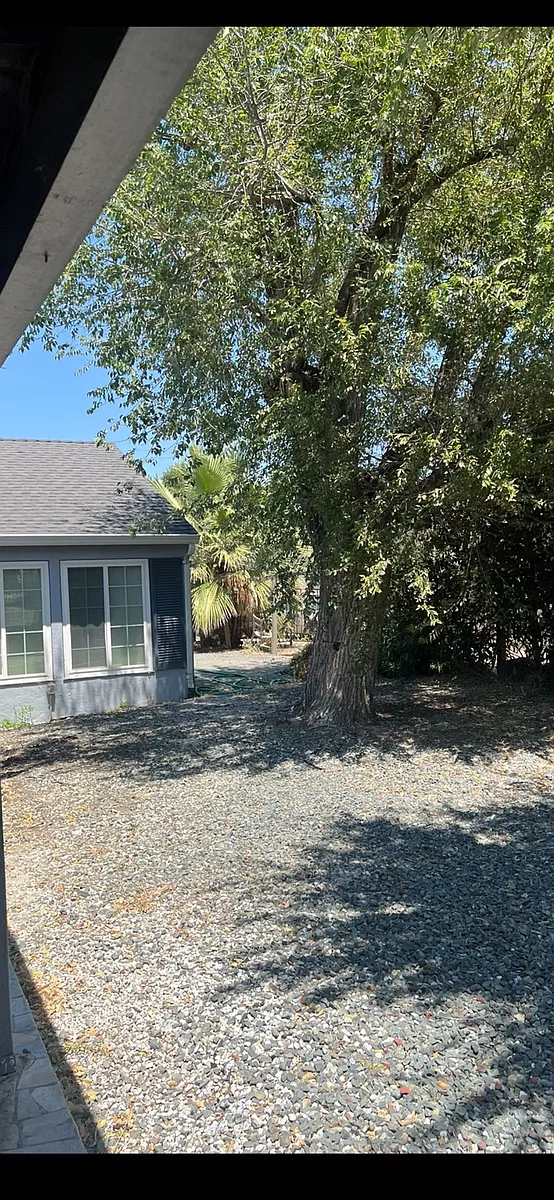 Building Photo - 142 Alturas Ave #D