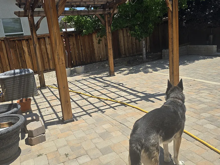 230 Bolzano Dr — Photo 12