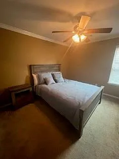 6611 Early Fall Dr — Photo 18