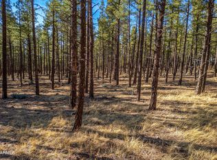 Wilderness Drive Pinetop #36J, Lakeside, AZ 85929