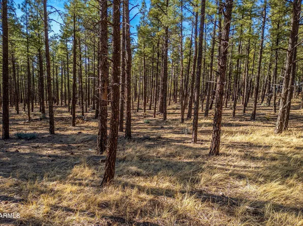 TBD Wilderness Drive #036J, Pinetop-Lakeside, AZ 85929