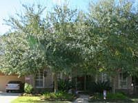1st image of 7618 Treeline Dr