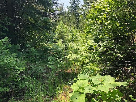 3rd image of 1657 Upriver View Dr