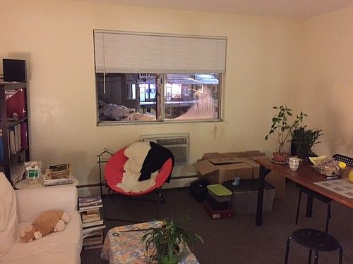 5th image of 222 W Squantum St