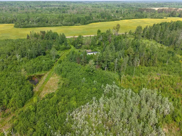 N5858 River Rd, Rib Lake, WI 54470