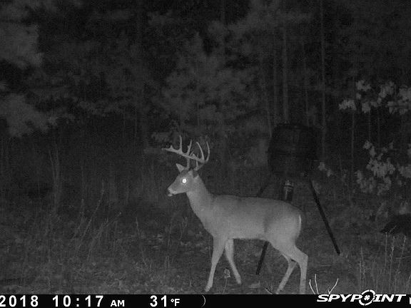 2nd image of LOT 3 And 7 Lakeview Mt