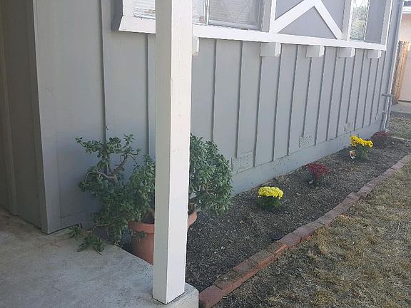 flower bed at front of house