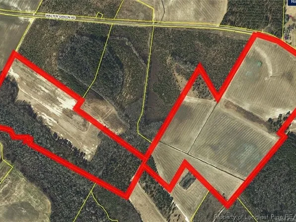 Walter Gibson Rd, Red Springs, NC 28377