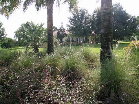 Beautifully landscaped