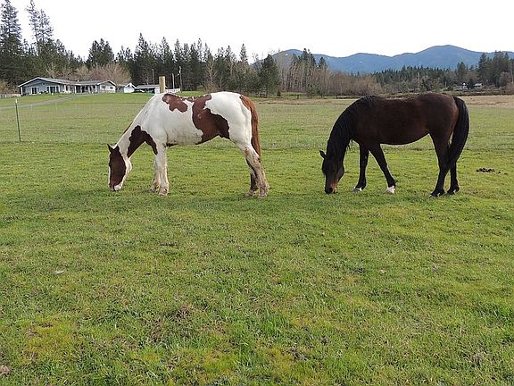 West pasture, one of 3