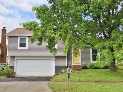 3977 Declaration Dr, Columbus, OH, 43230