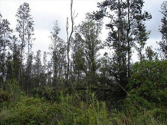 2nd image of Road 8 Moho Lot 5096