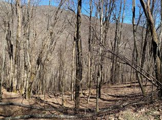 166 Puncheon Ln, Mars Hill, NC 28754