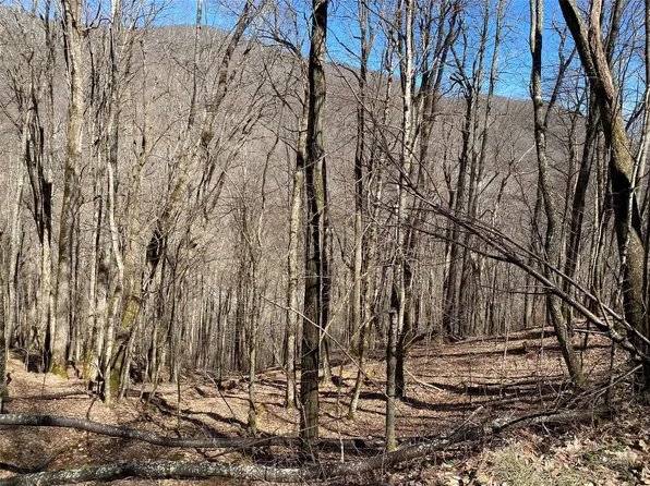 166 Puncheon Ln, Mars Hill, NC 28754