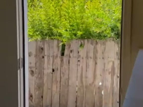 side yard entrance to the studio and huge back yard