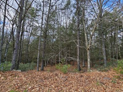 59 Perry Pond Rd, Narrowsburg, NY, 12764
