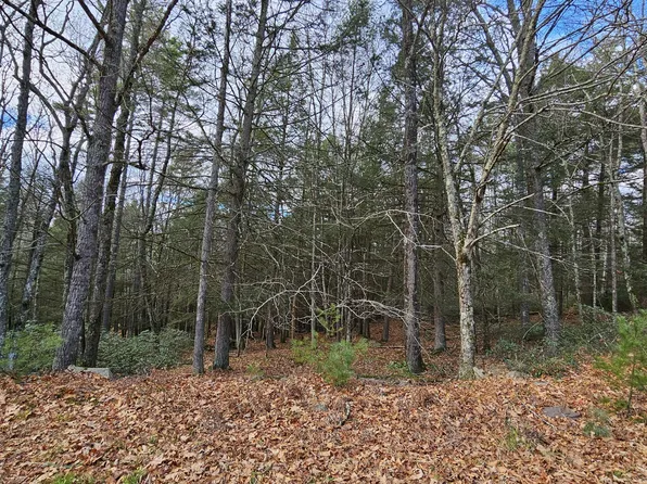 59 Perry Pond Rd, Narrowsburg, NY 12764