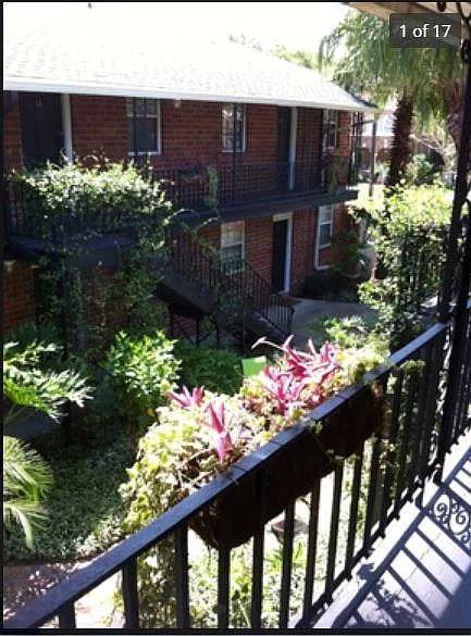 Beautiful Courtyard