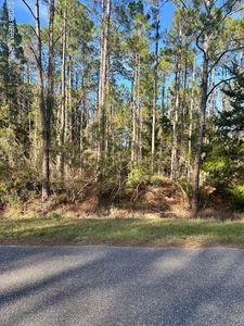 4320 VICKI Street, Hastings, FL, 32145