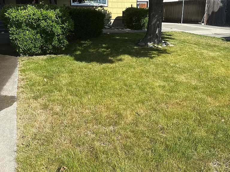 524 Goethals Dr #2 — Photo 10