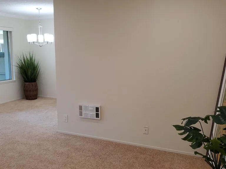 Live Oak Apartments — Photo 163