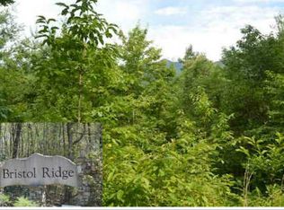 11 Bristol Rd, Hayesville, NC 28904