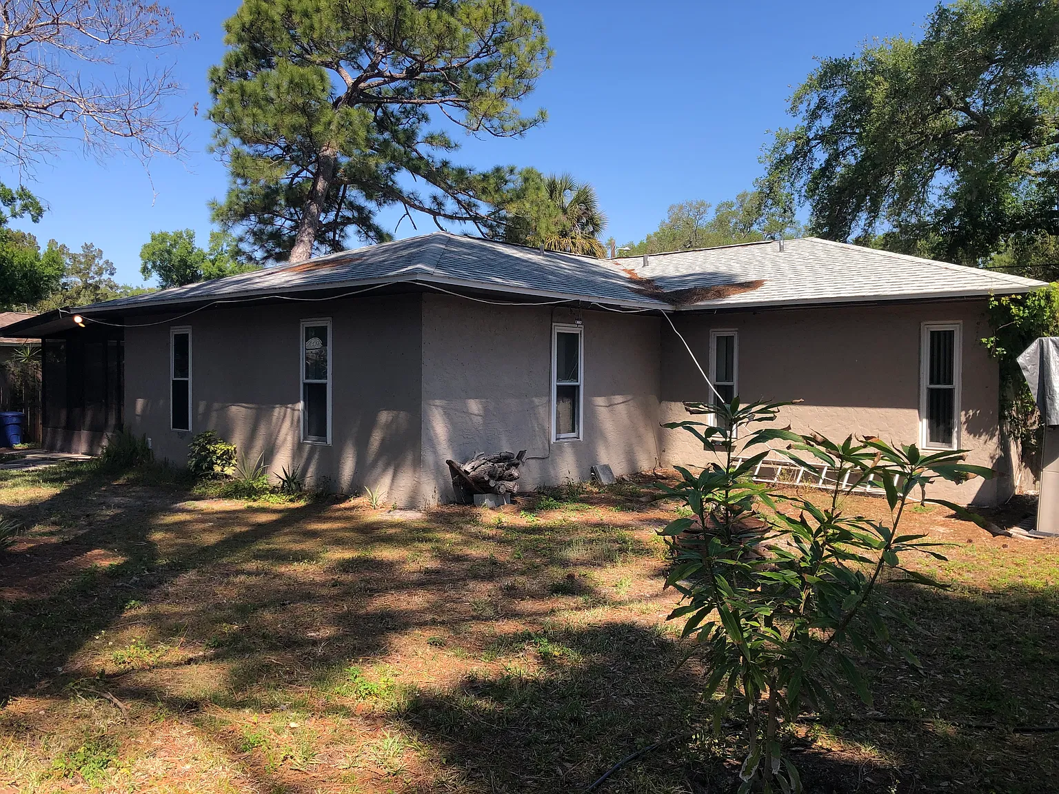 3 bed, 1460 sqft, $2,300 — Photo 3