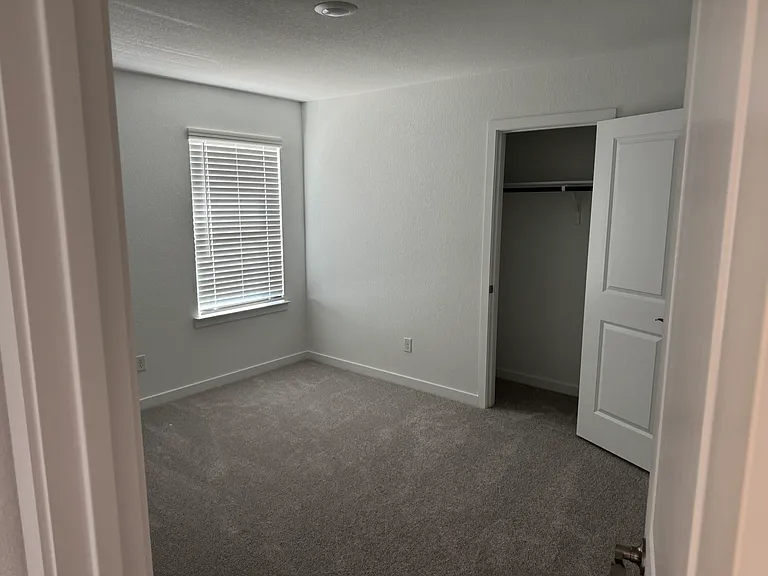473 Bristlecone Bnd — Photo 8