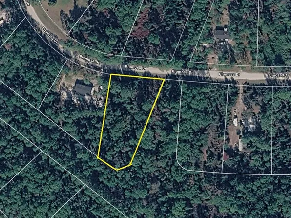 219 Plumosa Dr, Georgetown, FL 32139