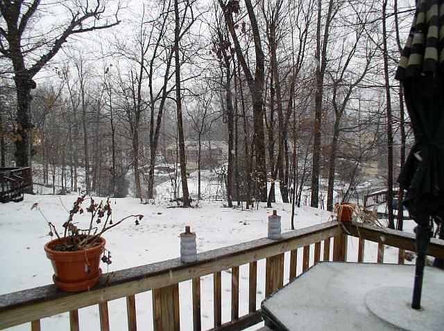 2nd image of 11012 S Geist Woods South Dr