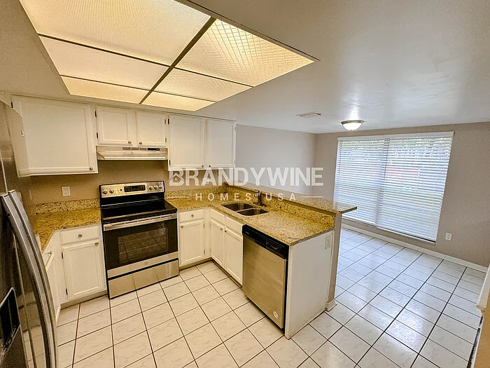 12901 Detroit Woods Ct — Photo 10