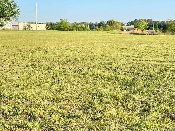 226 Grace Cv, Medina, TN 38355