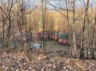 195 Maple Landing Rd #1, Altmar, NY 13302